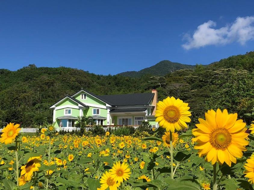 Canaan Beauty Farm B&B Чэнгун Экстерьер фото
